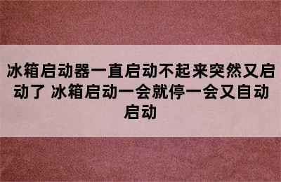 冰箱启动器一直启动不起来突然又启动了 冰箱启动一会就停一会又自动启动